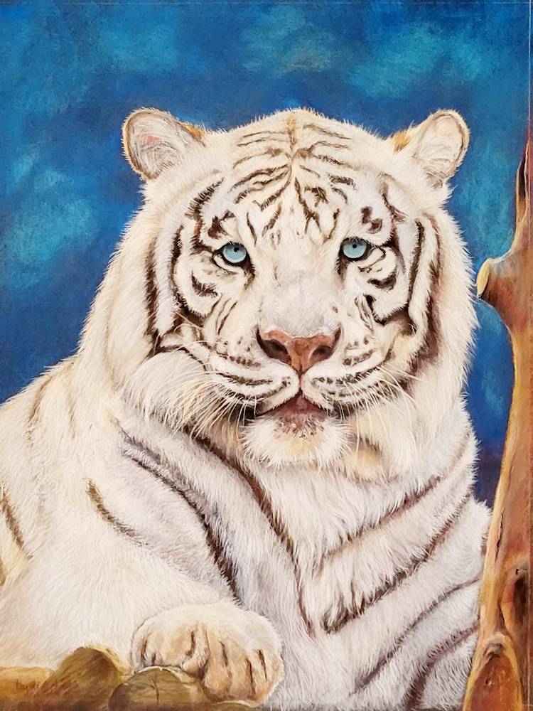 White tiger